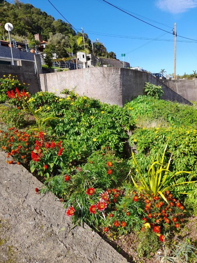 הוילה São Roque do Faial Panoramic Ocean View House מראה חיצוני תמונה